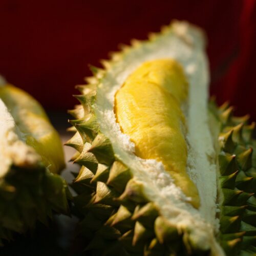 What Does Durian Taste Like?