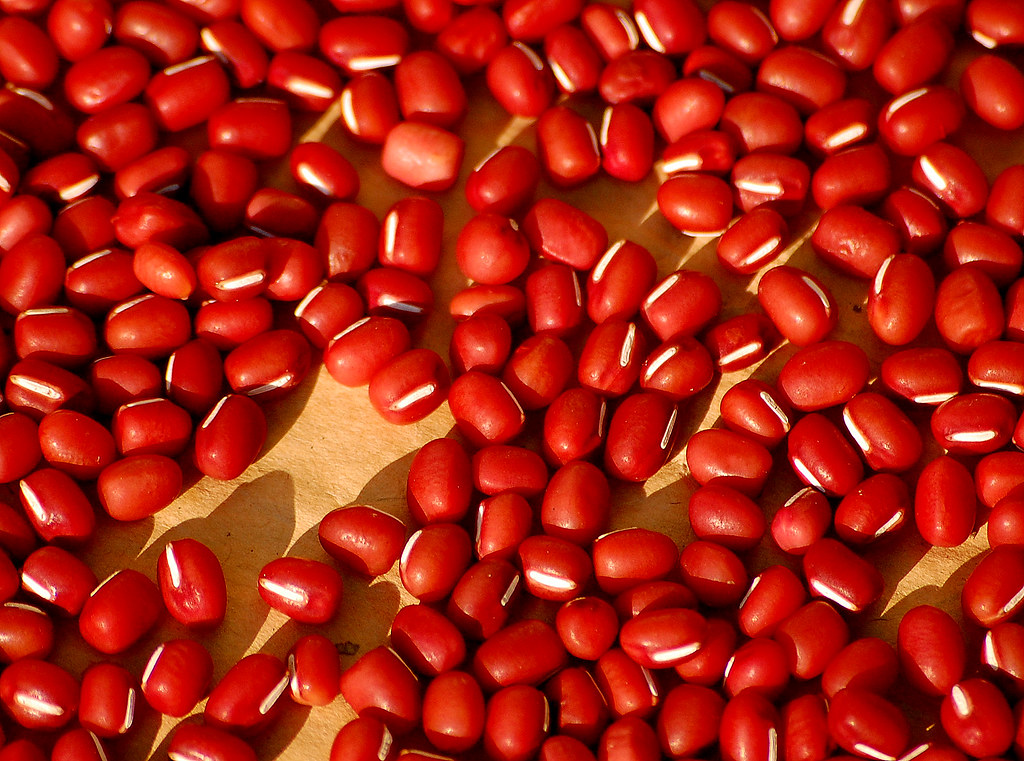 A Comprehensive Guide to the Taste of Adzuki Beans